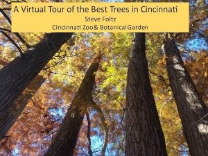 February 17 microMEETING: The Best Trees of Cincinnati