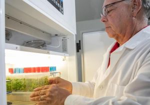 Plant Propagation Workshop Series Opens 2025