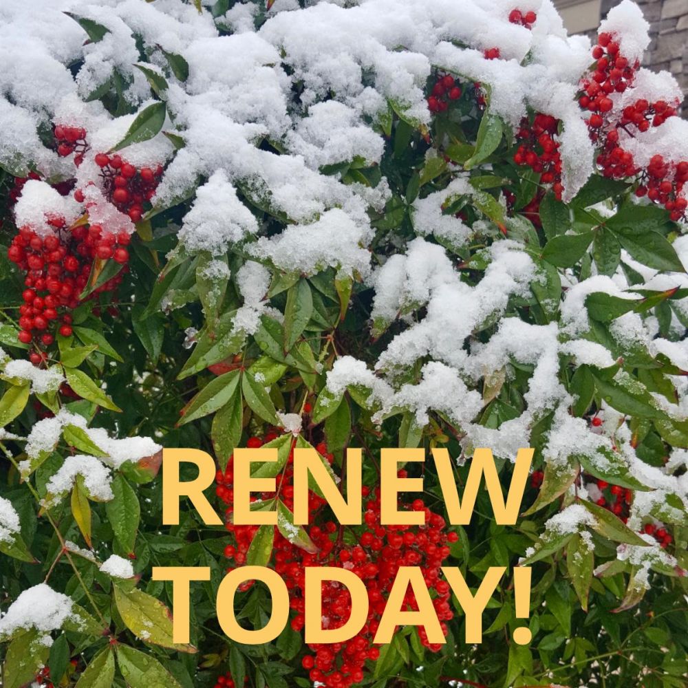 JANUARY IS RENEWAL TIME