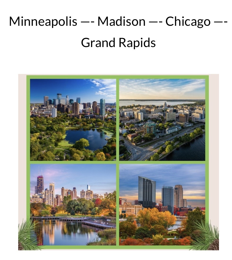 INTERNATIONAL TRAVEL REQUIREMENTS GUIDE visual data 2